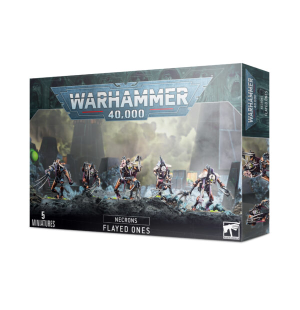 NECRONS:  FLAYED ONES