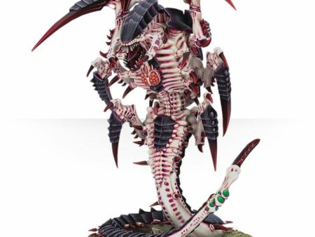 Trygon  (Web Only)